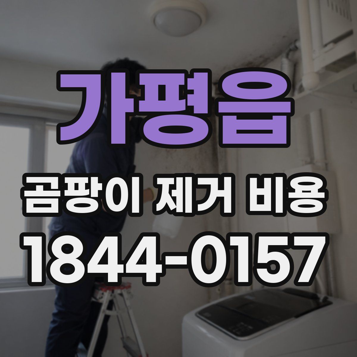 가평읍 곰팡이 제거 비용