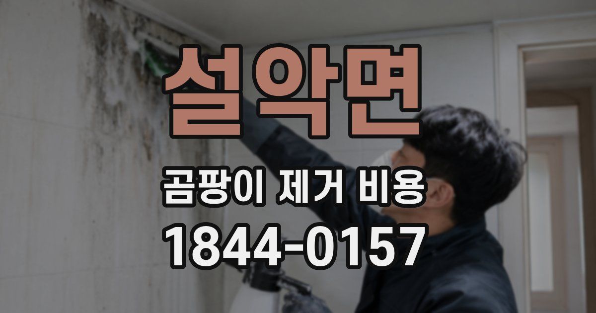 설악면 곰팡이 제거 비용