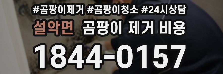 설악면 곰팡이 제거 비용