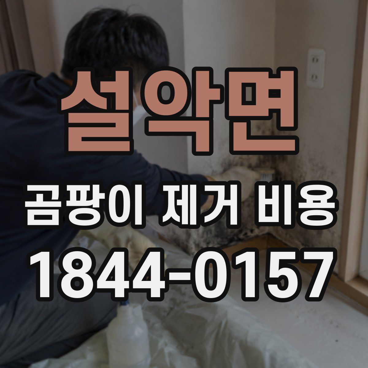 설악면 곰팡이 제거 비용