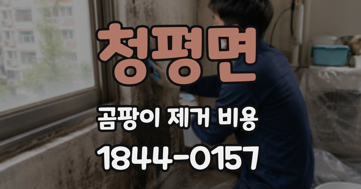 청평면 곰팡이 제거 비용