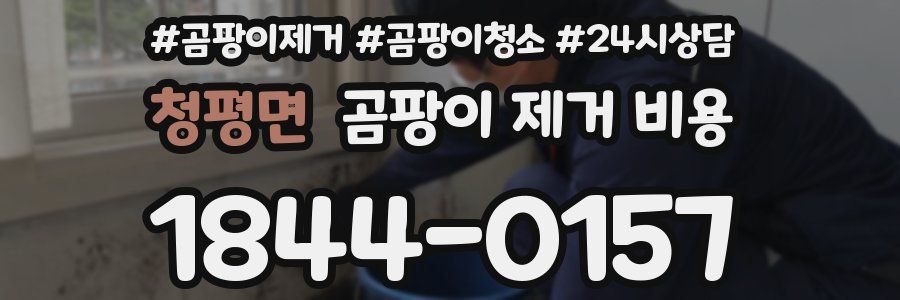 청평면 곰팡이 제거 비용