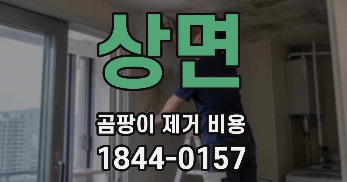 상면 곰팡이 제거 비용