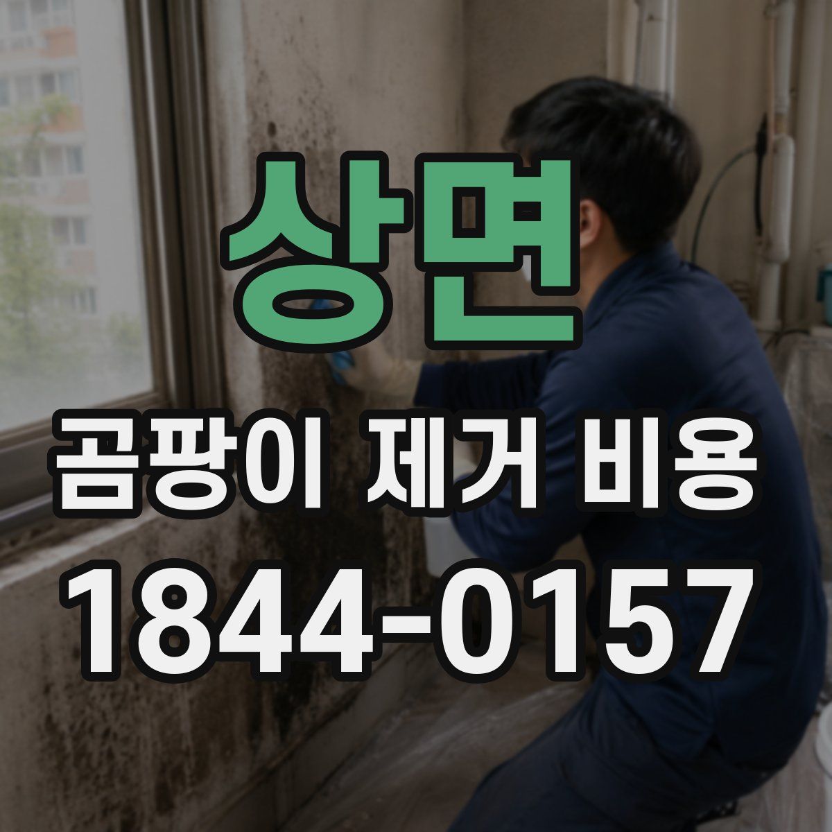 상면 곰팡이 제거 비용