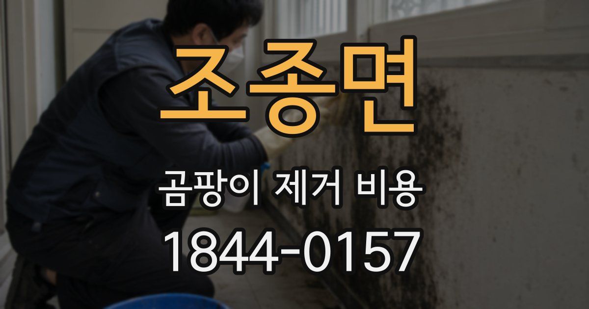 조종면 곰팡이 제거 비용