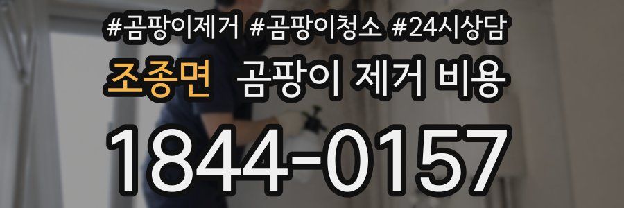 조종면 곰팡이 제거 비용