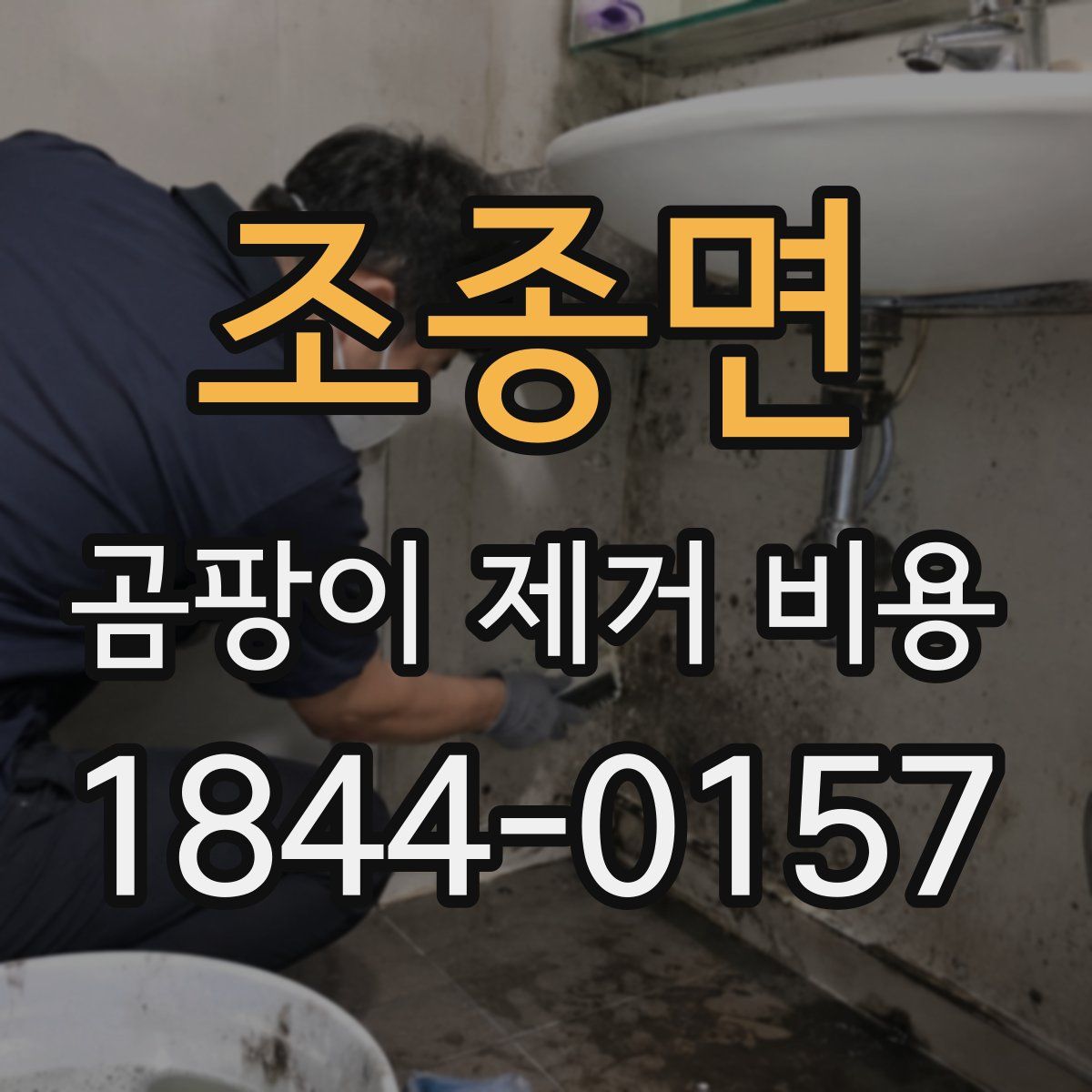 조종면 곰팡이 제거 비용