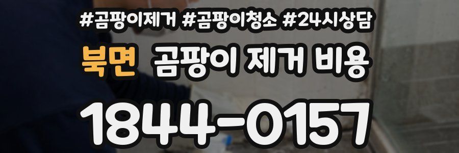북면 곰팡이 제거 비용