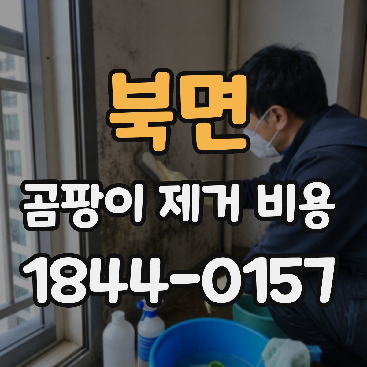 북면 곰팡이 제거 비용