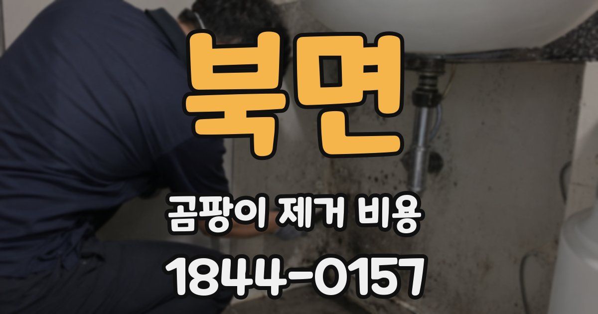 북면 곰팡이 제거 비용