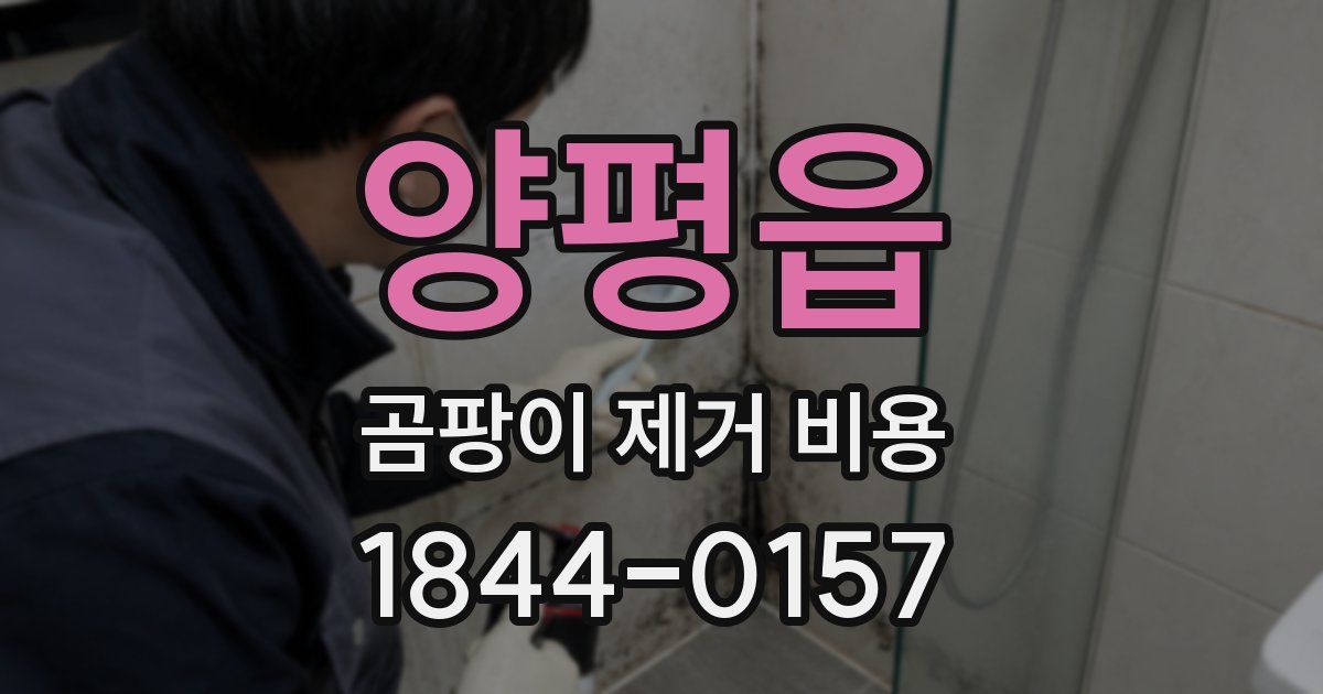 양평읍 곰팡이 제거 비용