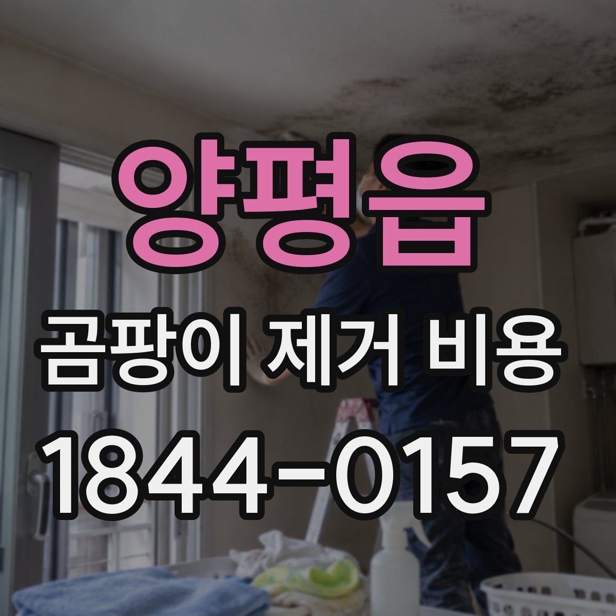 양평읍 곰팡이 제거 비용