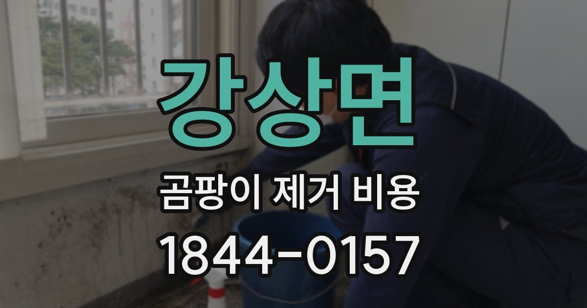 강상면 곰팡이 제거 비용