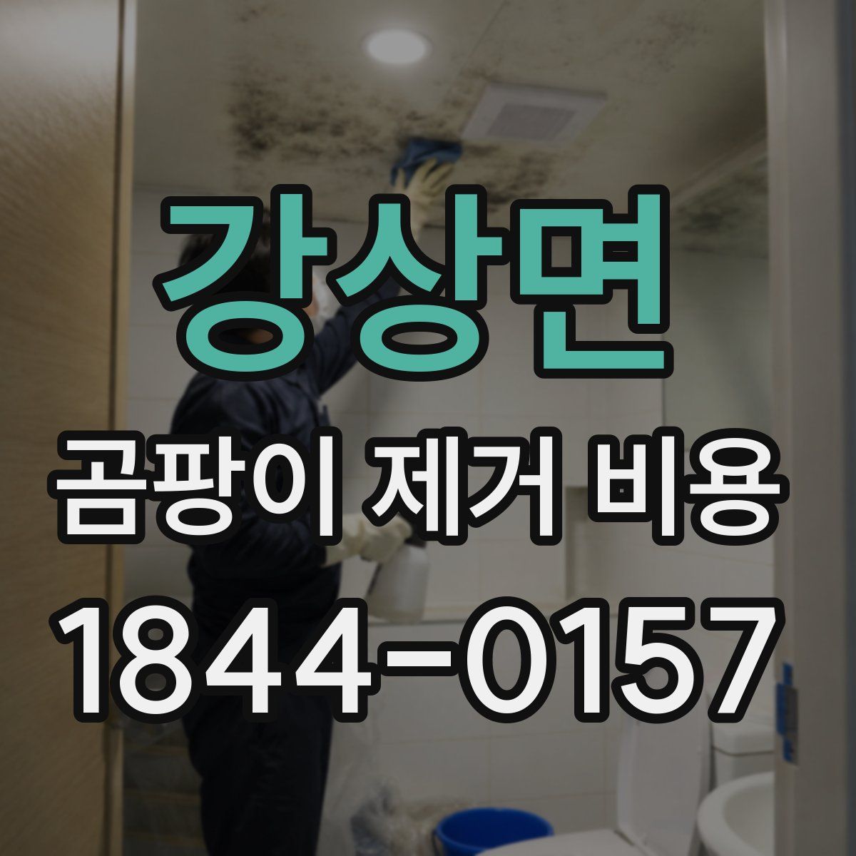 강상면 곰팡이 제거 비용