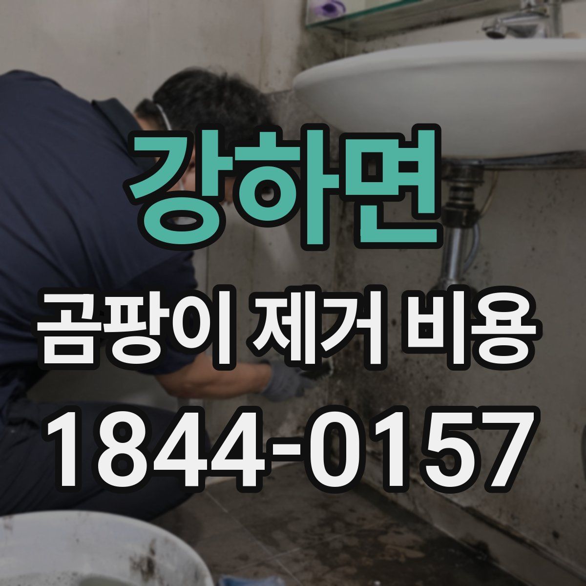 강하면 곰팡이 제거 비용