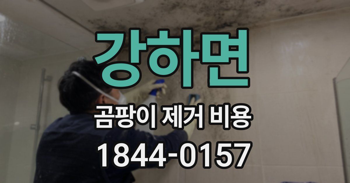 강하면 곰팡이 제거 비용