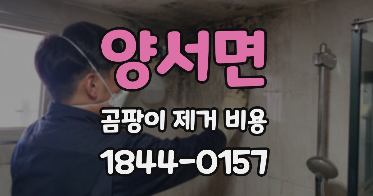 양서면 곰팡이 제거 비용