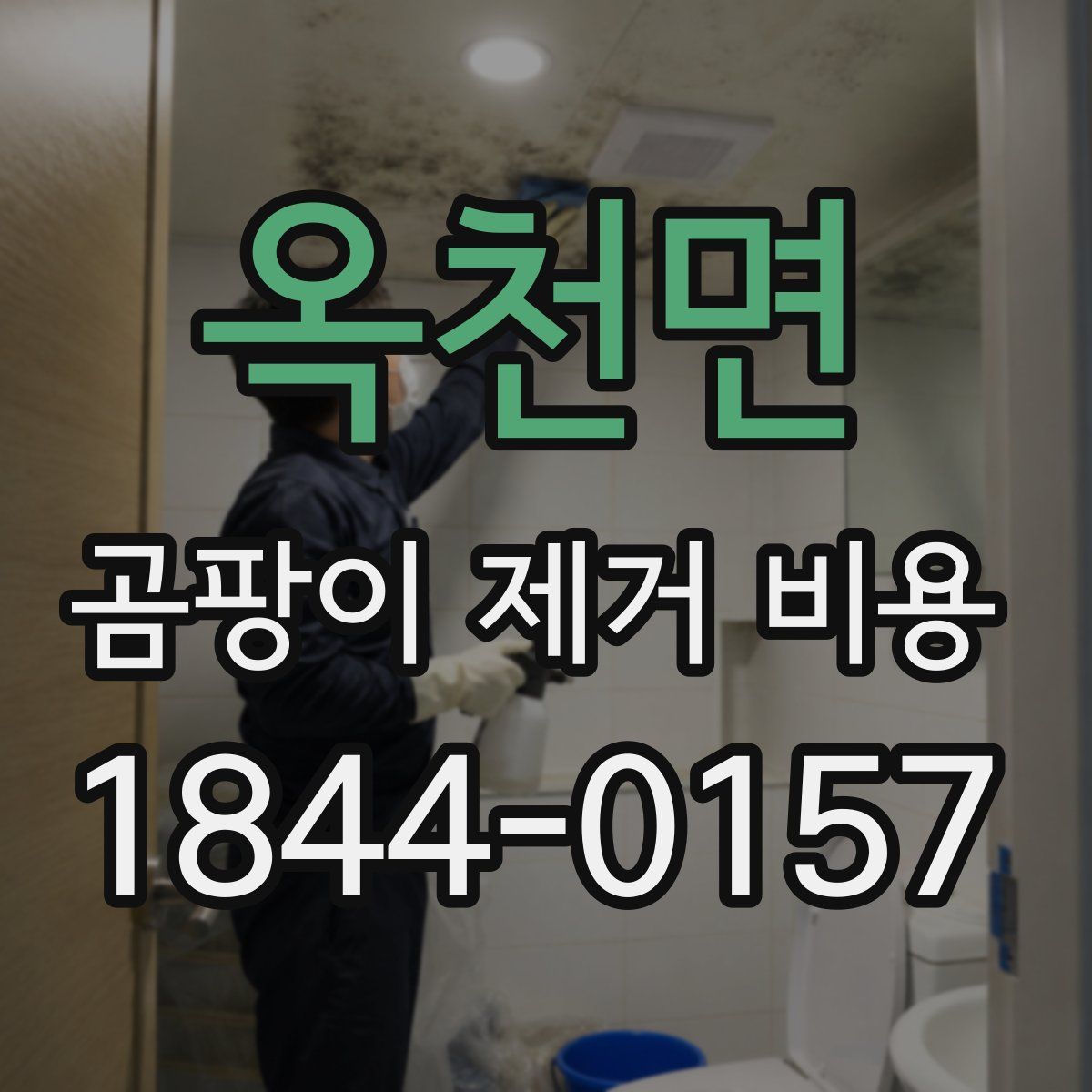 옥천면 곰팡이 제거 비용