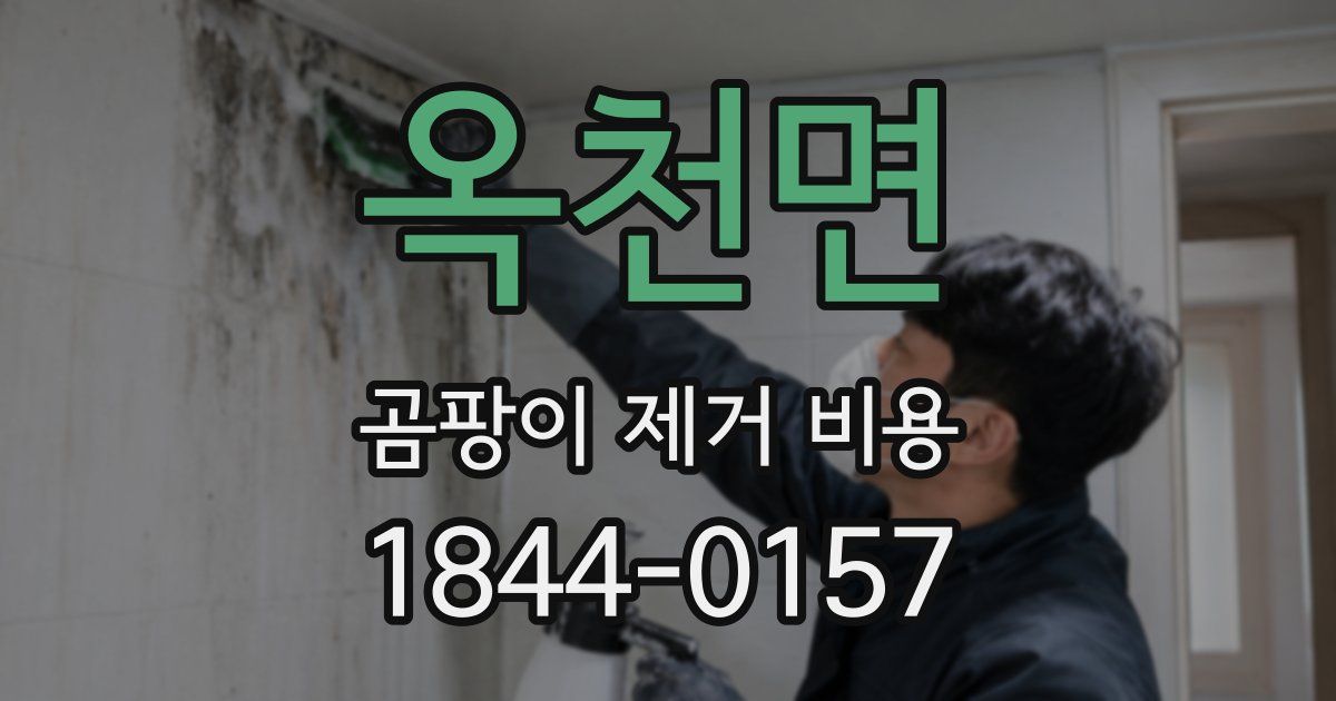 옥천면 곰팡이 제거 비용