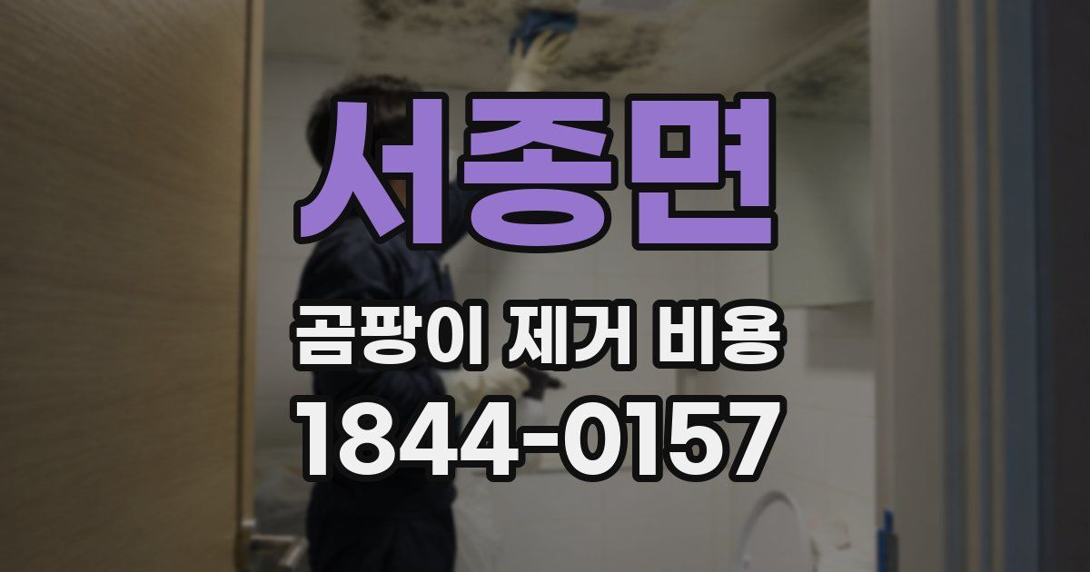 서종면 곰팡이 제거 비용