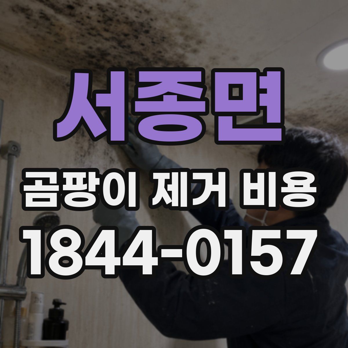 서종면 곰팡이 제거 비용