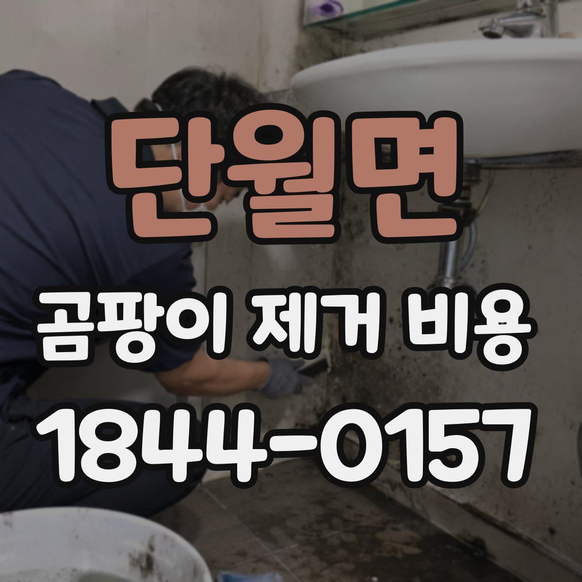 단월면 곰팡이 제거 비용