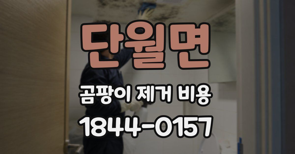 단월면 곰팡이 제거 비용