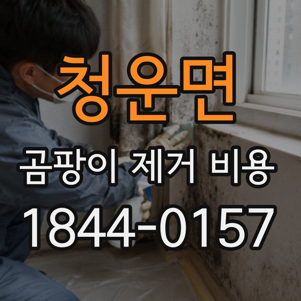 청운면 곰팡이 제거 비용 방수 공정 포함 여부로 보는 기준