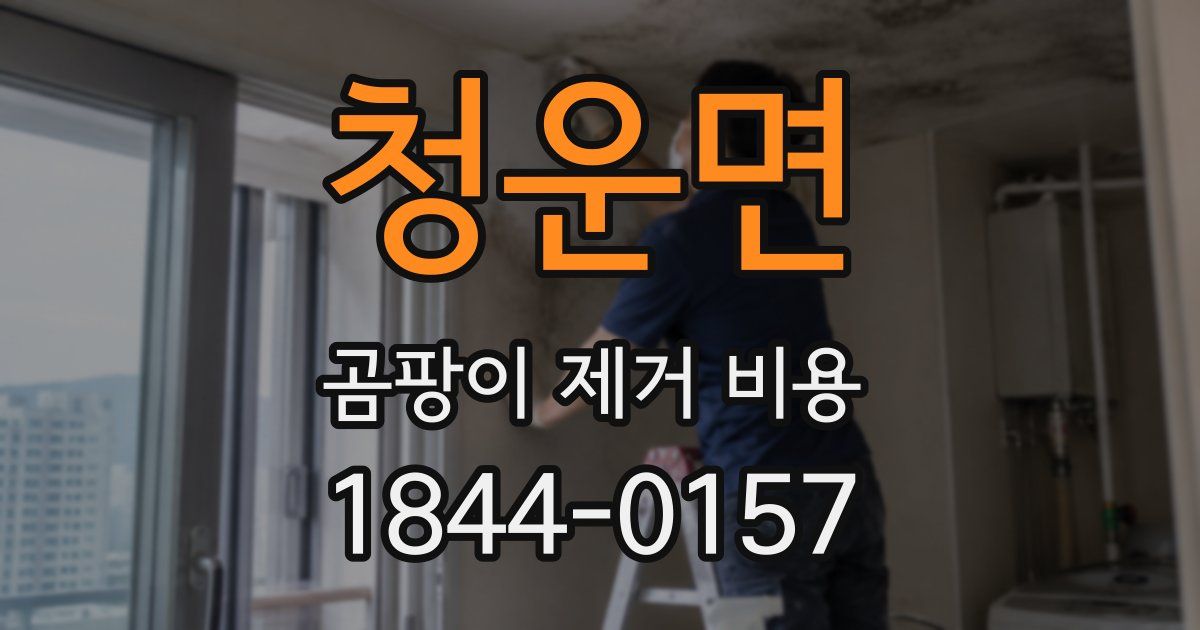 청운면 곰팡이 제거 비용