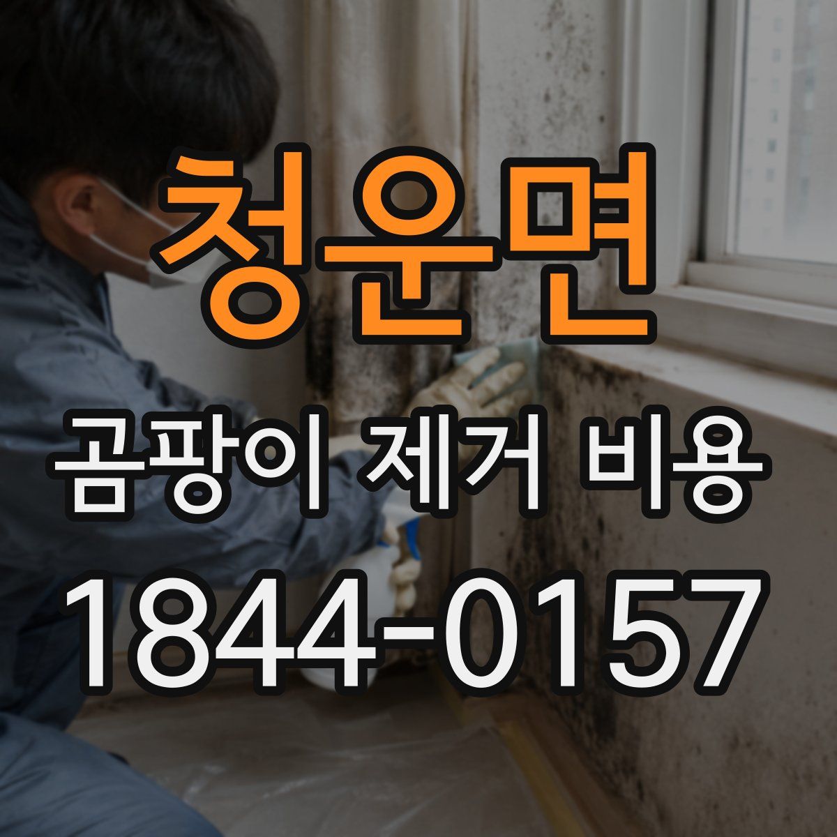 청운면 곰팡이 제거 비용