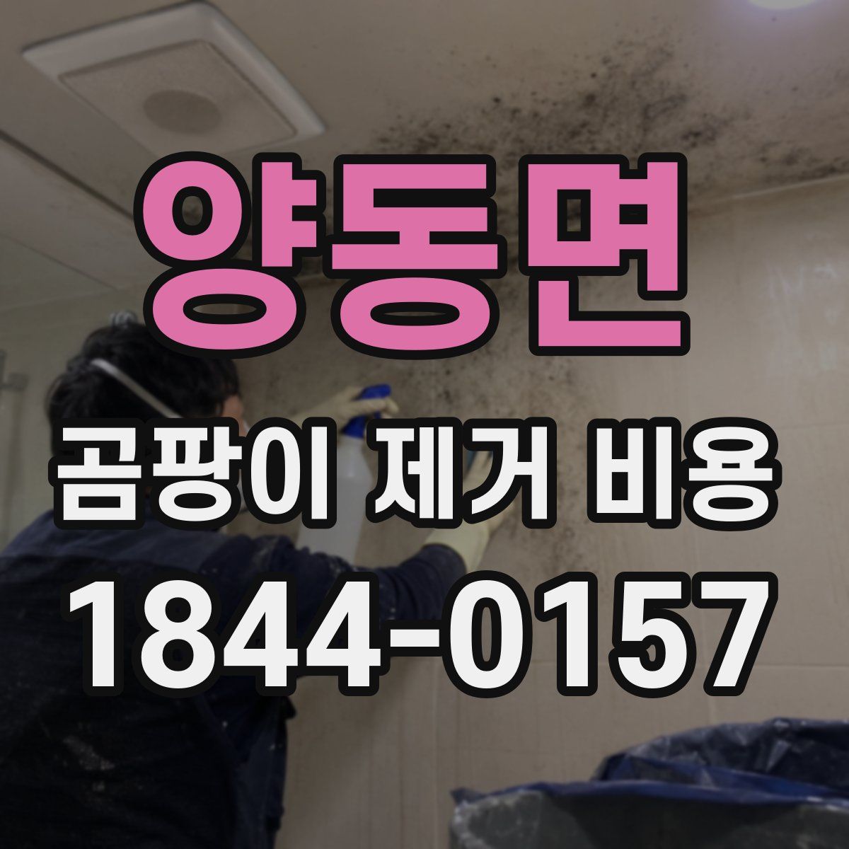 양동면 곰팡이 제거 비용