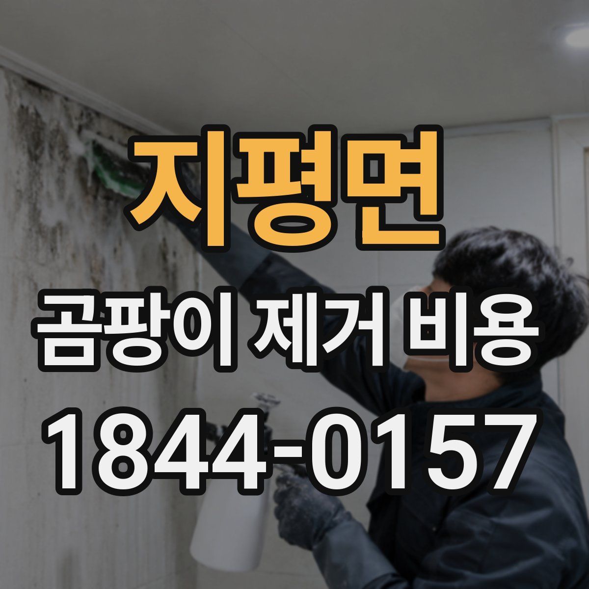지평면 곰팡이 제거 비용