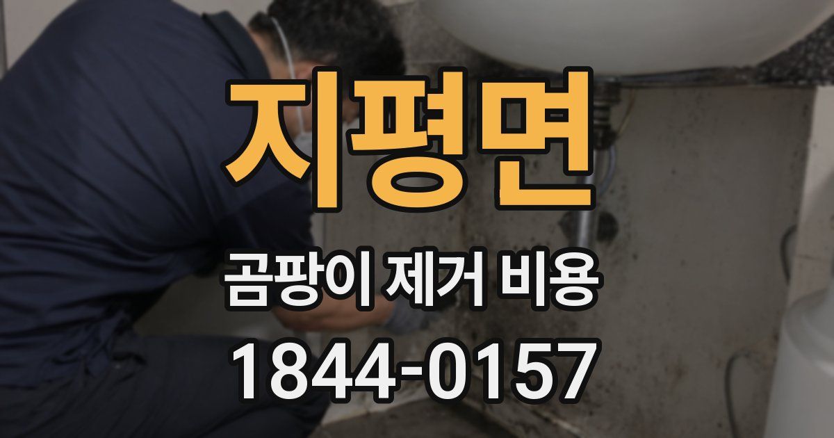 지평면 곰팡이 제거 비용