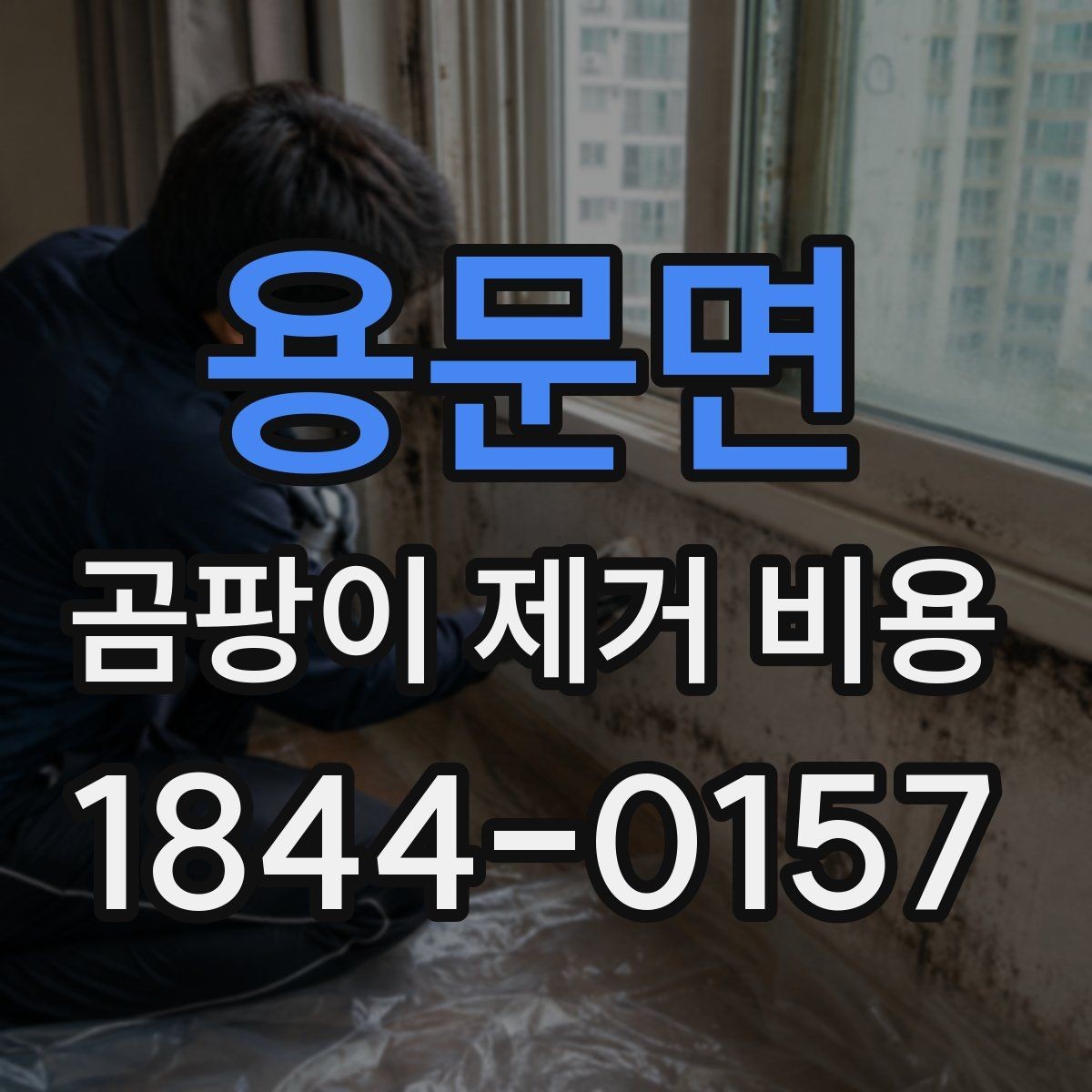 용문면 곰팡이 제거 비용 벽면과 천장 중 작업비가 다른 경우