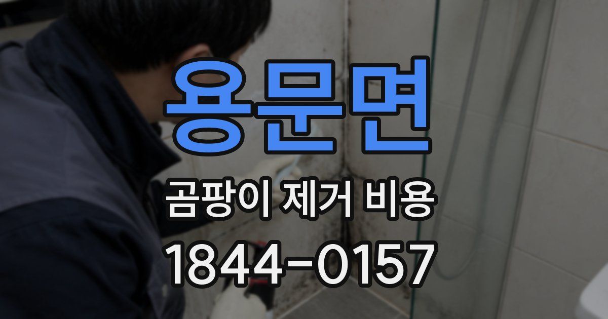 용문면 곰팡이 제거 비용