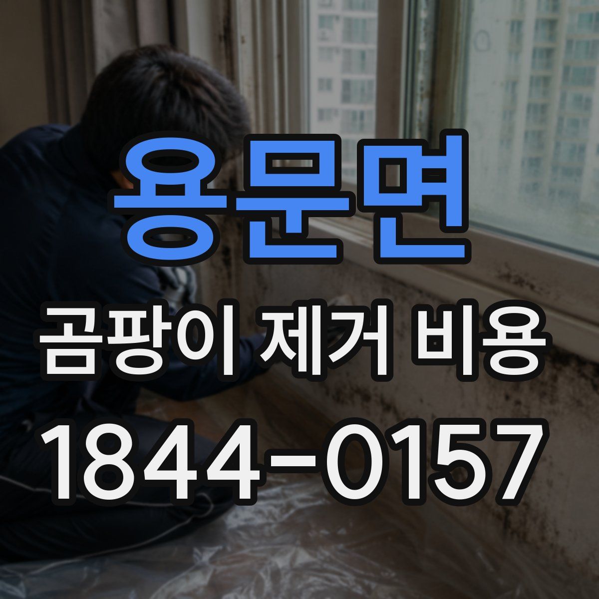 용문면 곰팡이 제거 비용