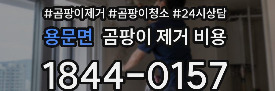 용문면 곰팡이 제거 비용