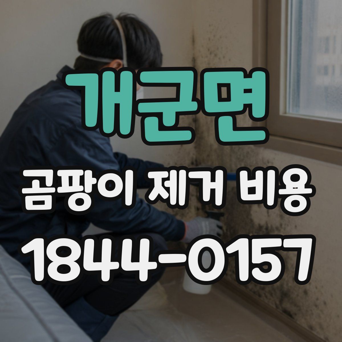개군면 곰팡이 제거 비용