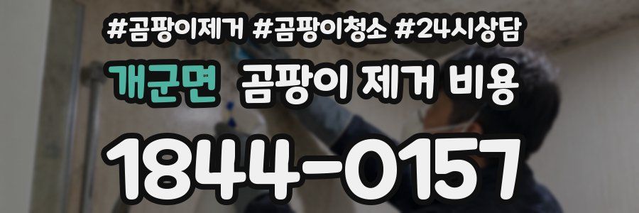 개군면 곰팡이 제거 비용