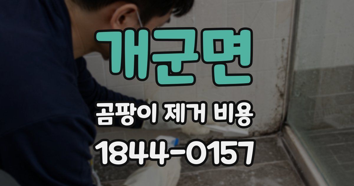 개군면 곰팡이 제거 비용