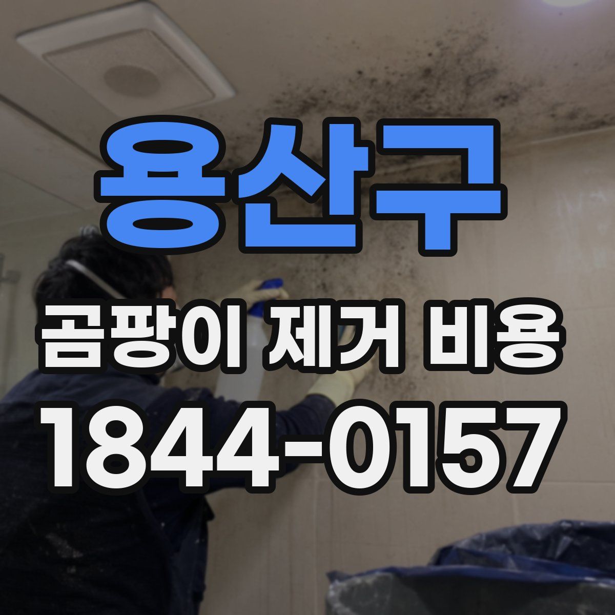 용산구 곰팡이 제거 비용