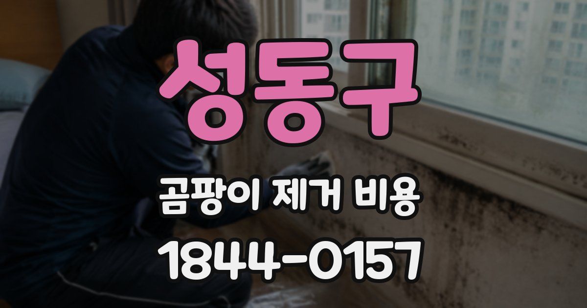 성동구 곰팡이 제거 비용