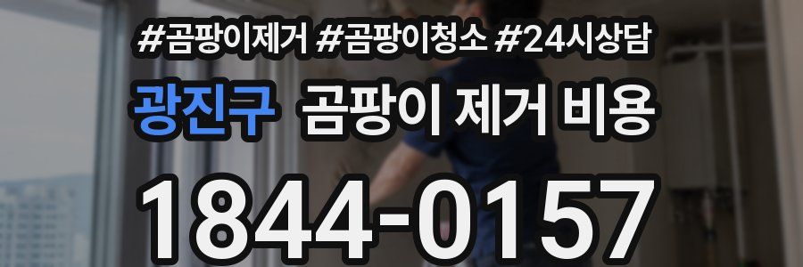 광진구 곰팡이 제거 비용