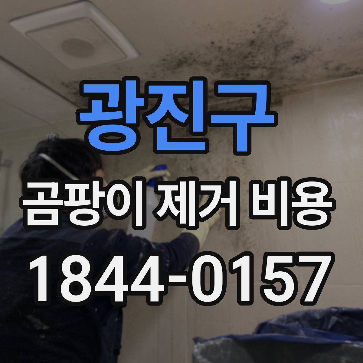 광진구 곰팡이 제거 비용