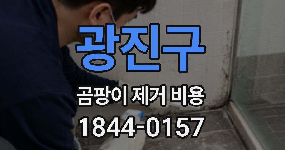 광진구 곰팡이 제거 비용