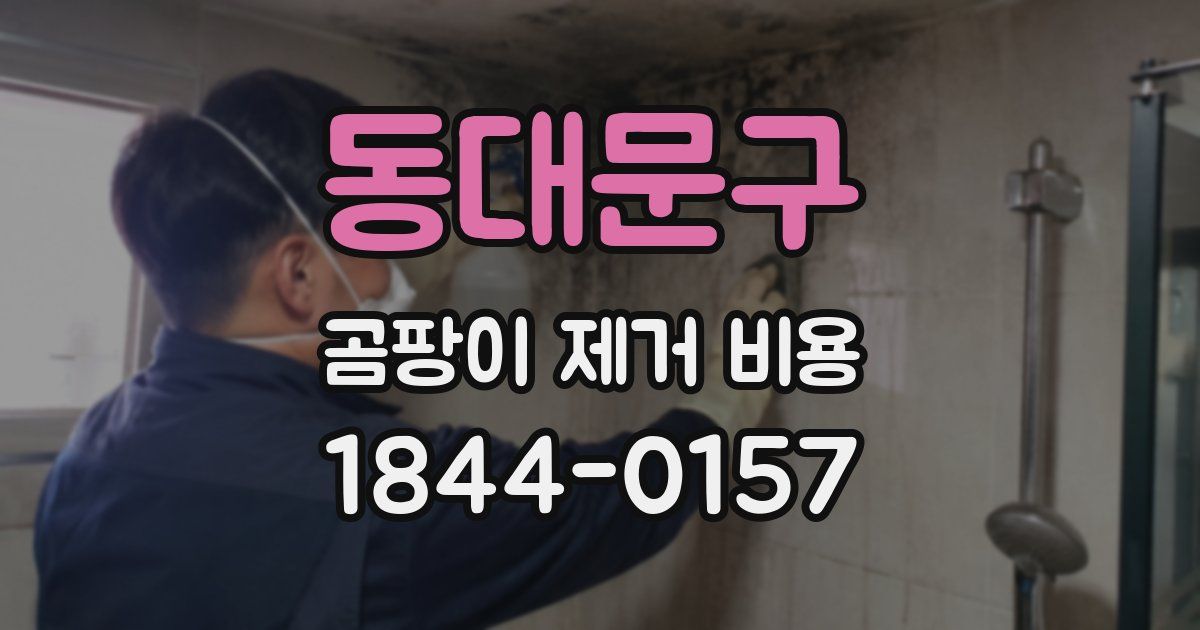 동대문구 곰팡이 제거 비용