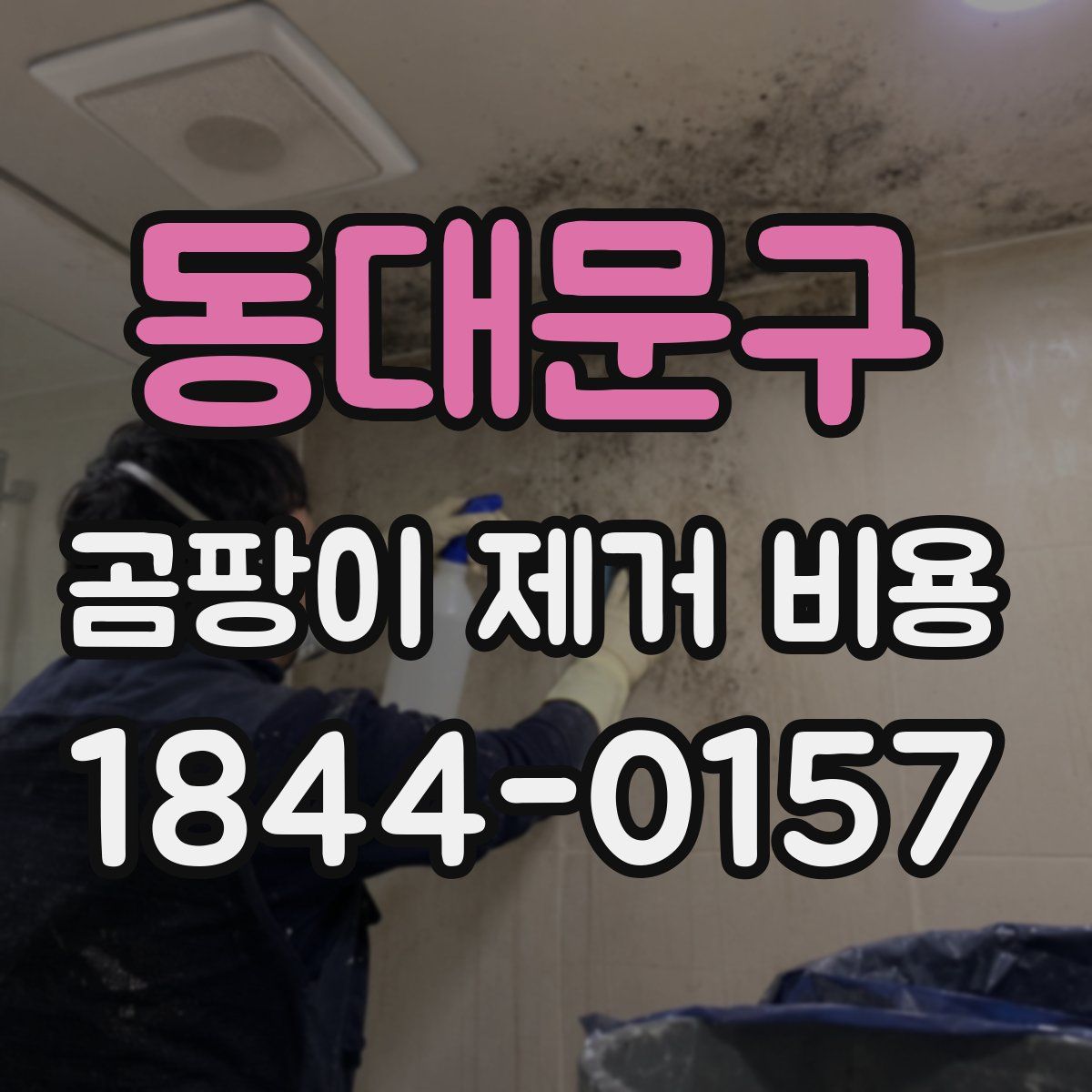 동대문구 곰팡이 제거 비용