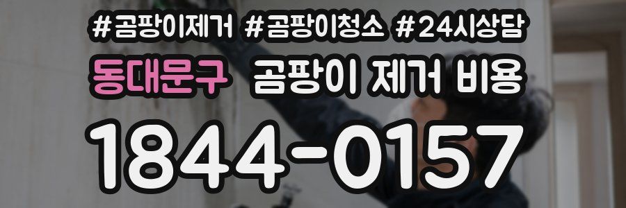 동대문구 곰팡이 제거 비용