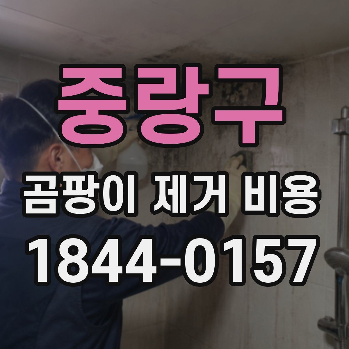 중랑구 곰팡이 제거 비용 가구 이동 및 현장 보양이 추가되는 상황
