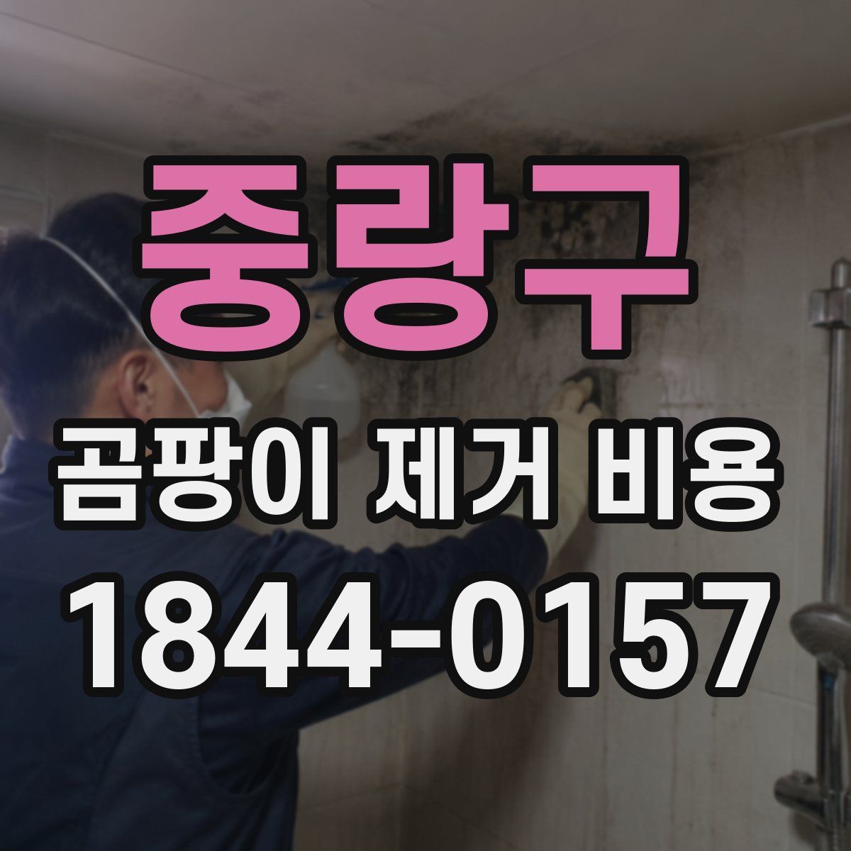 중랑구 곰팡이 제거 비용